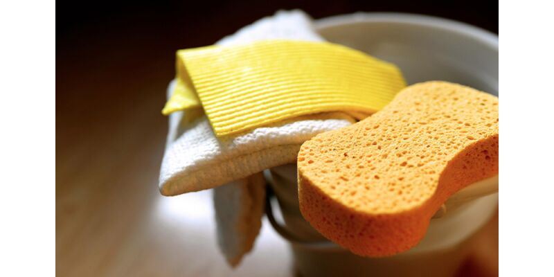 Frisch ins Neue Jahr starten – Reinigungs- &amp;amp; Pflegetipps für Ihr Zuhause - Frühjahrsputz 2025 Reinigungs- &amp;amp; Pflegetipps von KACHELMANN