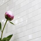 Mosaik Alpine 2,7 x 2,7 cm Mix