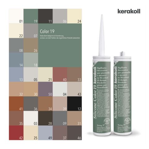 Silicone Color 19 310 ml Stck.