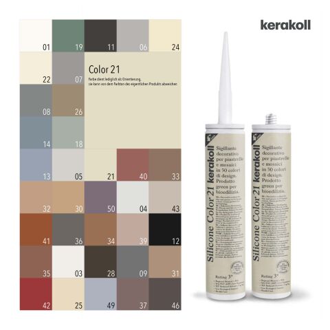 Silicone Color 21 310 ml Stck.