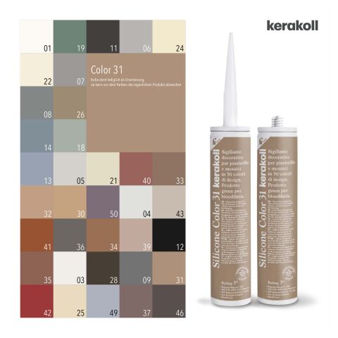 Silicone Color 31 310 ml Stck.