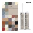 Silicone Color 43 310 ml Stck.