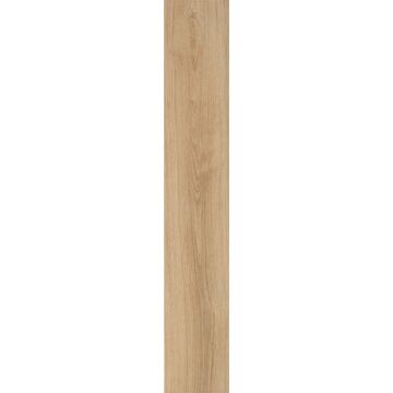 Fliese I Roveri 20 x 120 cm Naturale