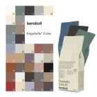 Fugabella® Color 3 kg Flexfuge