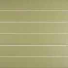 Dekorfliese Trendy LineCut4,8  25 x 50 cm Matcha