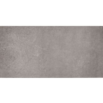 Fliese Zeed 30 x 60 cm Anthrazit