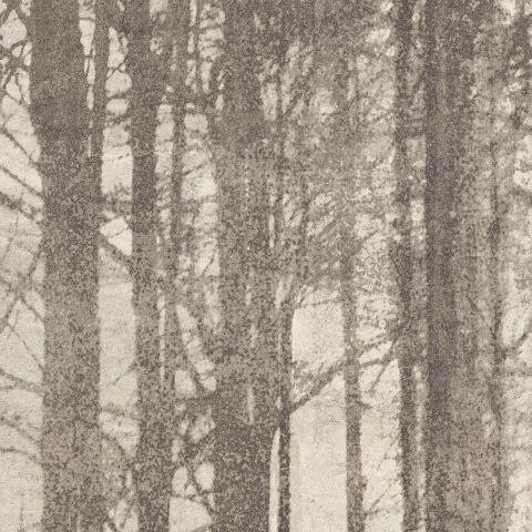 Dekorfliese Ylico 120 x 278 cm Wood Fog