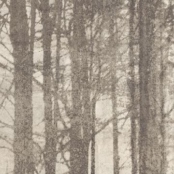 Dekorfliese Ylico 120 x 278 cm Wood Fog