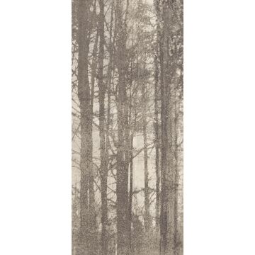 Dekorfliese Ylico 120 x 278 cm Wood Fog