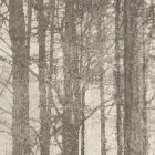 Dekorfliese Ylico 120 x 278 cm Wood Fog