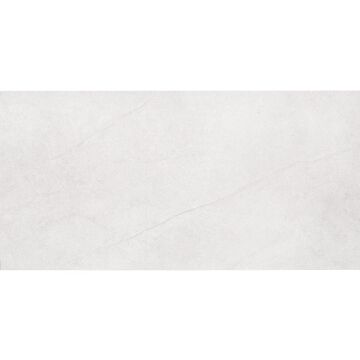 Wandfliese Dachstein 30 x 60 cm Grau