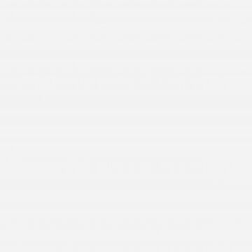 Wandfliese Blanco 60 x 120 cm Mate